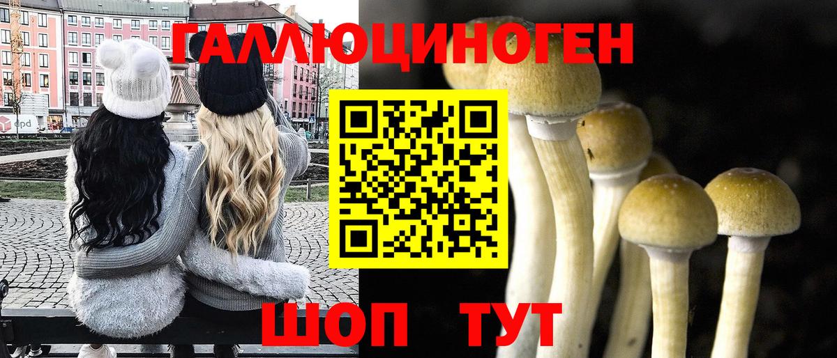 Донецк  Псилоцибиновые грибы Psilocybine cubensis  Вход с VPN 