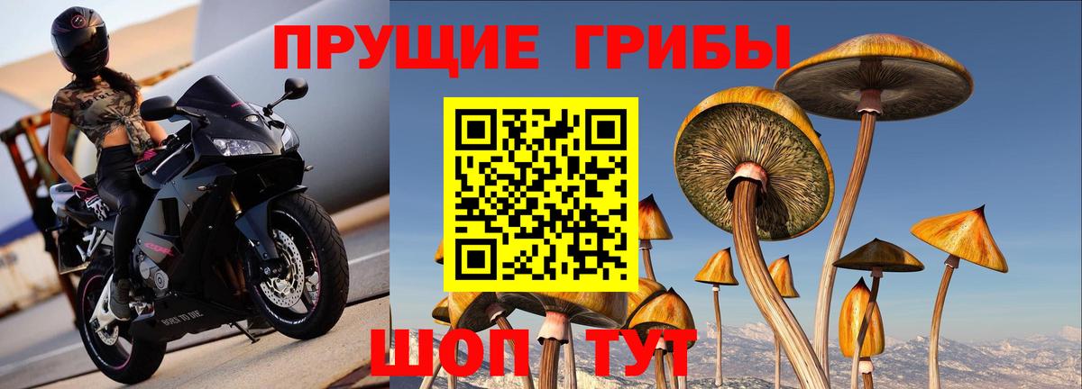 Псилоцибиновые грибы прущие грибы Донецк